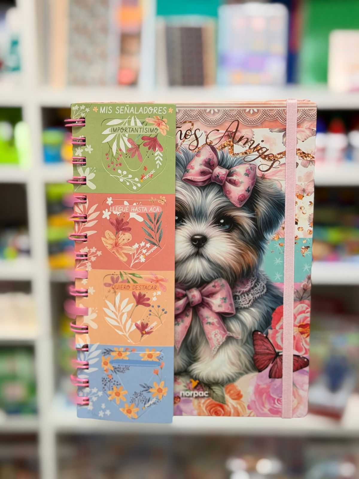 Cuaderno medium Norpac 2025